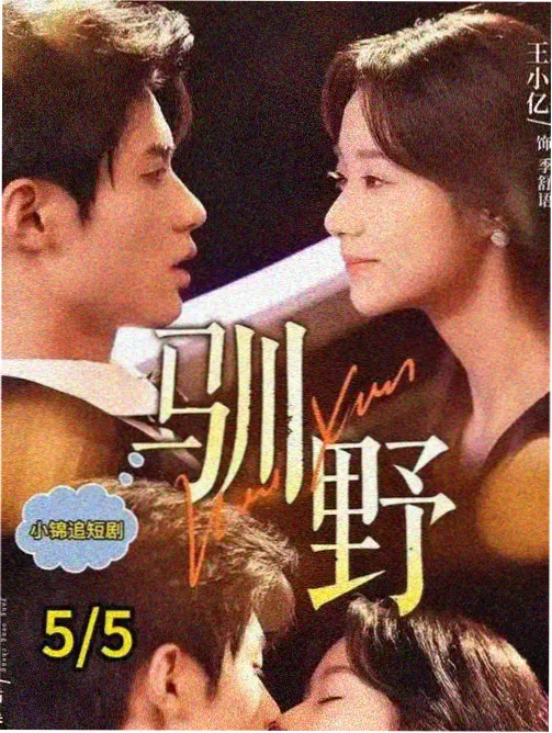 狂花电视剧全集免费观看 高清封面